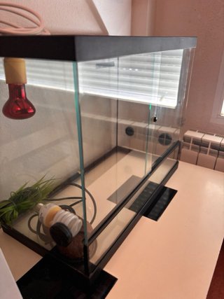 Terrario de Cristal Negro