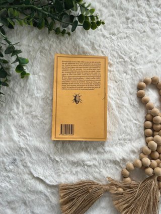 Libro Terres de l’Ebre Sebastià Juan Arbó