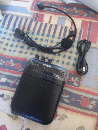 EK audio EKCLMIC Guitar Amp