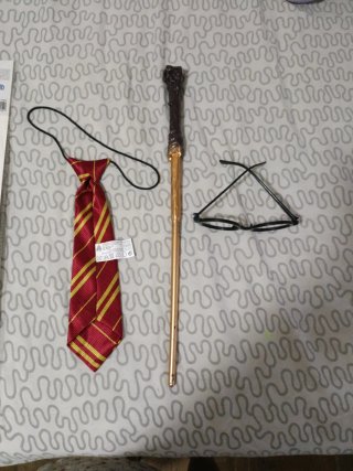 Accesorios Disfraz Mago Harry Potter