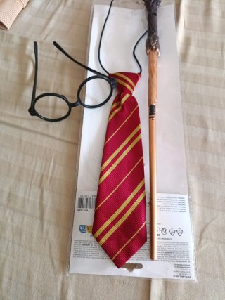 Accesorios Disfraz Mago Harry Potter