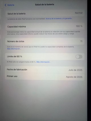 iPad Pro 13” Plata M3