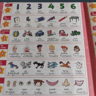 Kid's box new generation activity book 1° Primaria