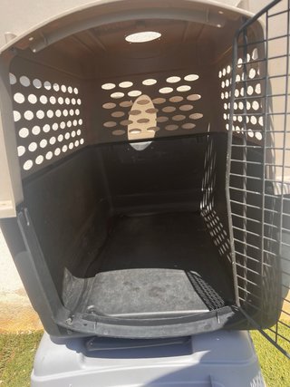Pack Transportínes grande perro XL/mediano-grande
