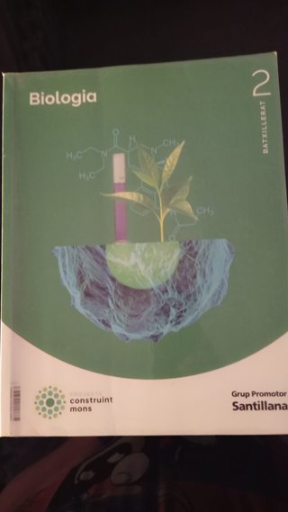 Biologia, 2 Batxillerat, Projecte Construint mons