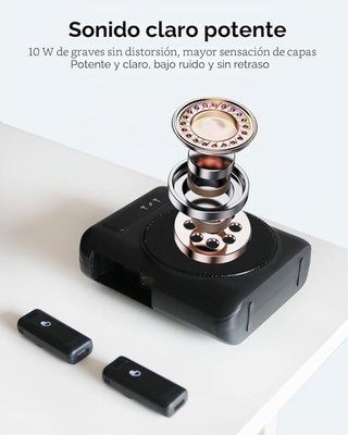 Amplificador Voz Micrófono Inalámbrico