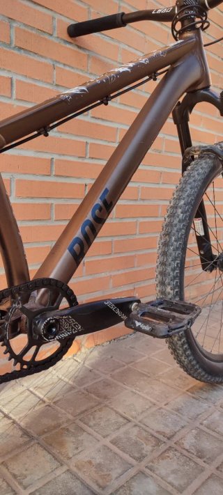 Bicicleta Dirt Jump Rose Bruce 2