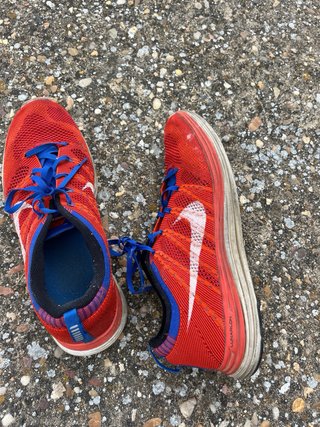 Zapatillas Nike Running Rojas y Azules