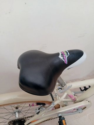 Bicicleta bitwin niña 24 pulgadas