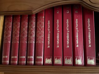 Enciclopedias y libros vintage