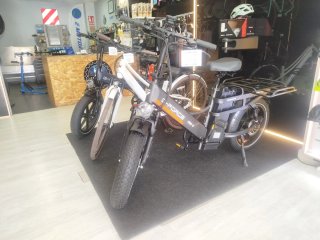 Bicicleta Eléctrica G-FORCE DES 2