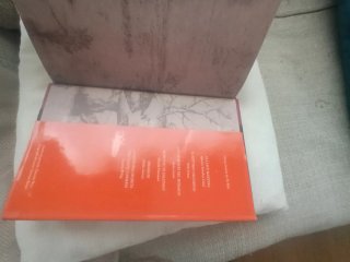 Camposanto/cemetery (Spanish Edition)