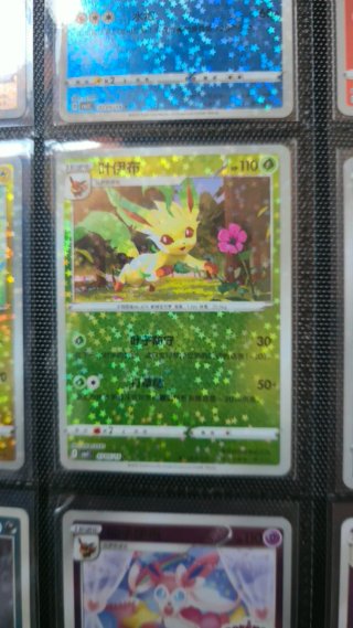 ☆☆☆Lote (Brillo) Eevee Evoluciones Pokémon (CN)