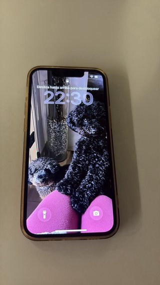 iPhone 13 mini rosa