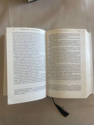 DON QUIJOTE DE LA MANCHA