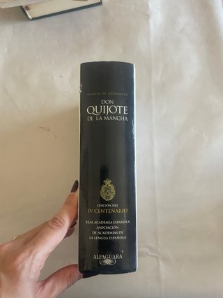 DON QUIJOTE DE LA MANCHA