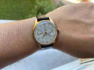 Cauny Prima Chrono 37mm