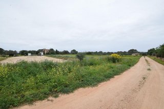 Solar en venta en Sant Jordi - Son Ferriol en Palma de Mallorca