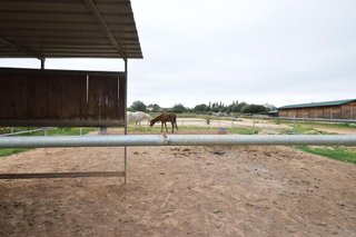 Solar en venta en Sant Jordi - Son Ferriol en Palma de Mallorca