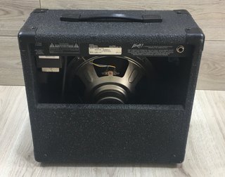 Peavey Audition 110