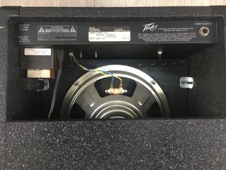 Peavey Audition 110