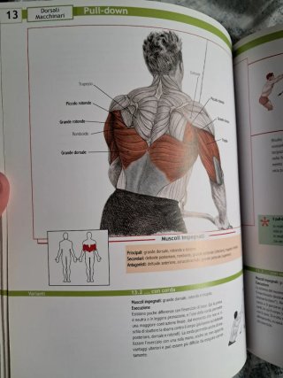 Enciclopedia degli esercizi di muscolazione