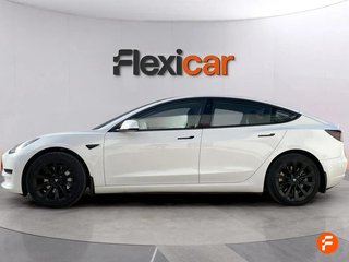 Tesla Model 3 Estándar Plus RWD - 4P (2021)