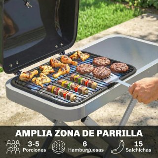 Barbacoa Gas Plegable 2.5 kW Tapa