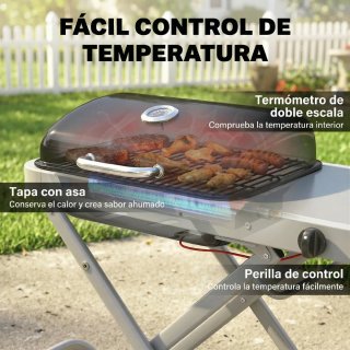 Barbacoa Gas Plegable 2.5 kW Tapa