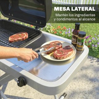 Barbacoa Gas Plegable 2.5 kW Tapa