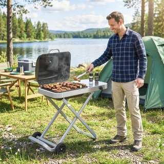 Barbacoa Gas Plegable 2.5 kW Tapa