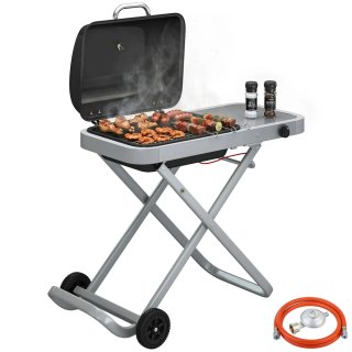 Barbacoa Gas Plegable 2.5 kW Tapa