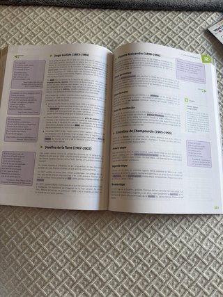 Lengua y Literatura 2 bachillerato