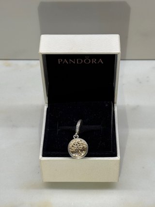 Pandora Charm Famiglia Per Sempre