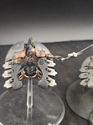 Destructores Necrón con Héroe