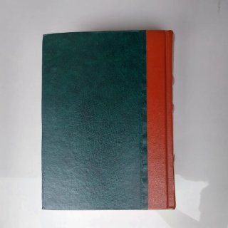 La madre. Máximo Gorki