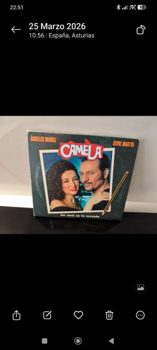 Lote Camela: 9 CDs y 3 Cassettes