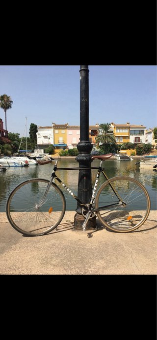 BICI FIXIE ZEUS PIÑON FIJO