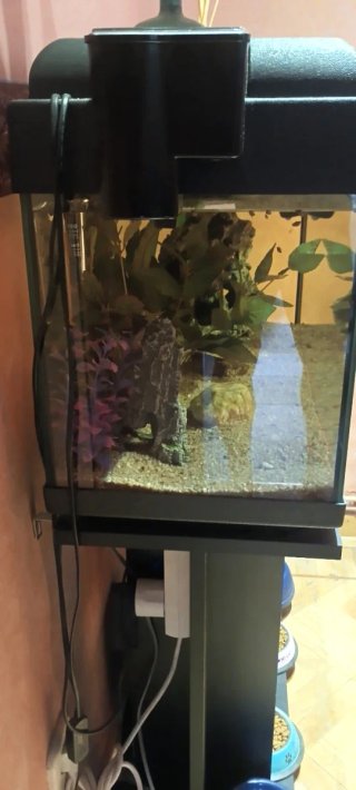 Acuario 90L con mueble