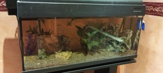 Acuario 90L con mueble
