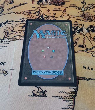 CARTA MAGIC - DEFLECTING PALM