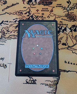 CARTA MAGIC - DEFLECTING PALM