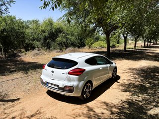 KIA PRO_CEE’D 1.6 CRDi X-Tech17 136 CV