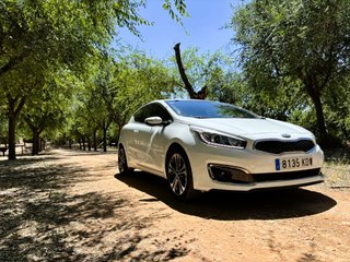 KIA PRO_CEE’D 1.6 CRDi X-Tech17 136 CV