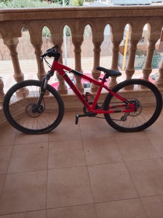 Bicicleta infantil