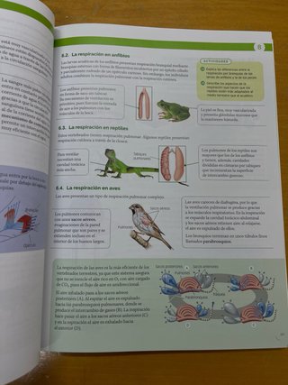 Biología, Geología y Ciencias Ambientales 1 Bac...