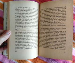Crònica de una muerte anunciada, novela