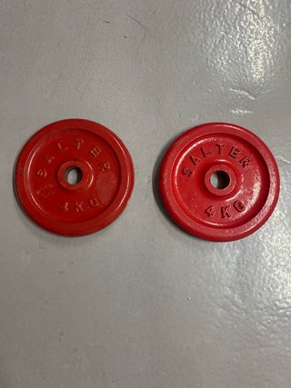 2 Discos Pesas Salter 4 kg