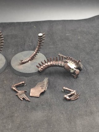 Espectros Canoptek / Wraiths