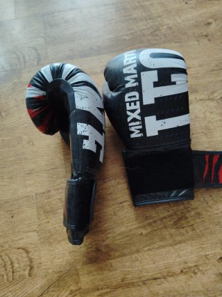 Guantes de Boxeo Leone 1947